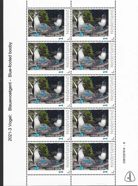 Nederland 2021-3 vogels blue footed booby vel-sheetlet postfris/mnh
