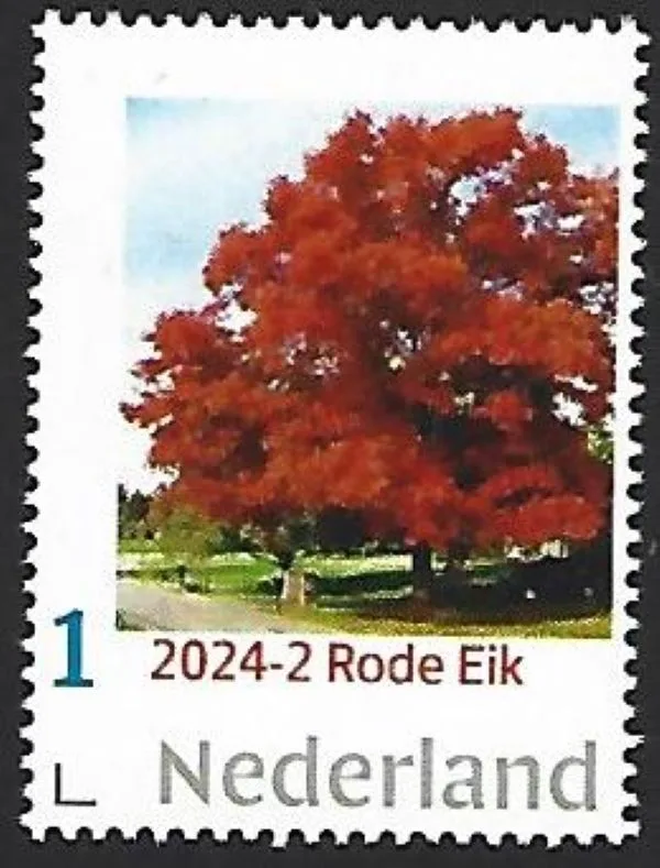Niederlande 2024-2 Baum Tree: Roteiche Red oak postfrisch/mnh