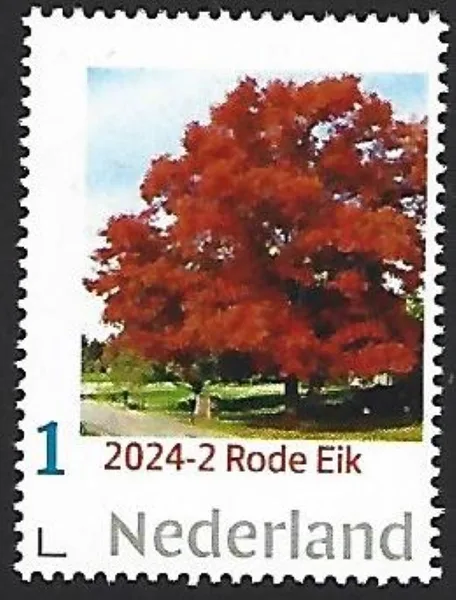 Netherlands 2024-2 Tree: Red oak MNH