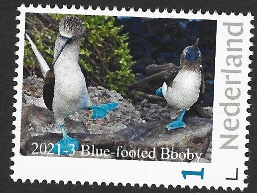 Nederland 2021-3 Vogels blauwvoetgent Bluefooted Booby postfris/mnh