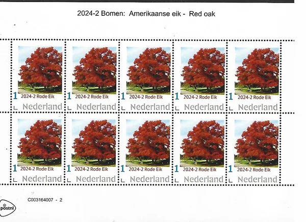 Nederland 2024-2 Boom Tree: Rode (Amerikaanse) eik Red oak sheetlet postfris/mnh