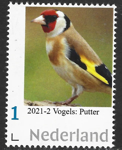 Netherlands 2021-2 birds bullfinch goldfinch MNH