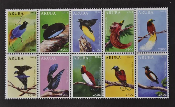 Aruba 2014 Vogels birds postfris-mnh