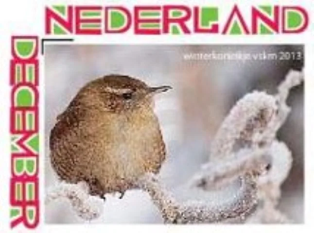 Niederlande 2013 Vögel Wintergoldhähnchen Weihnachten postfrisch/MNH