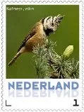 Netherlands 2013 Ucollect Birds Crested Tit (green) MNH