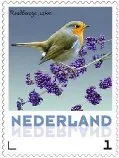 Nederland 2013 Roodborstje postfris/mnh