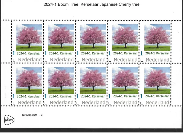 Nederland 2024-1 Boom- Tree Kerselaar vel/sheetlet postfris/mnh