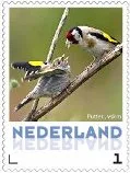 Netherlands 2013 Ucollect birds bullfinch 2 MNH