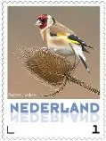 Nederland 2013 Ucollect vogels putter 3 postfris/mnh