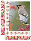 Pays-Bas 2012 Ucollect oiseaux Rollier d'Europe neuf/mnh