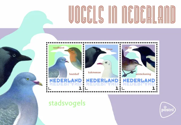NETHERLANDS 2014 BIRDS 2 city birds velvet-sheetlet MNH
