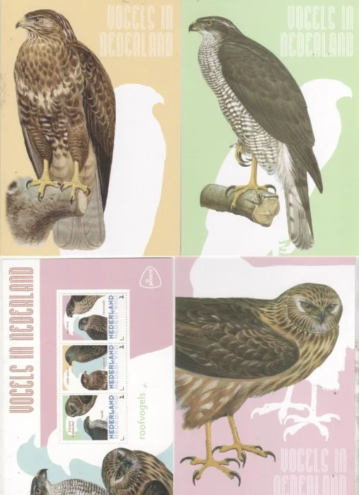 NIEDERLANDE 2014 VÖGEL 3 Raubvögel Vögel Vögel MARKENBLATT postfris/mnh