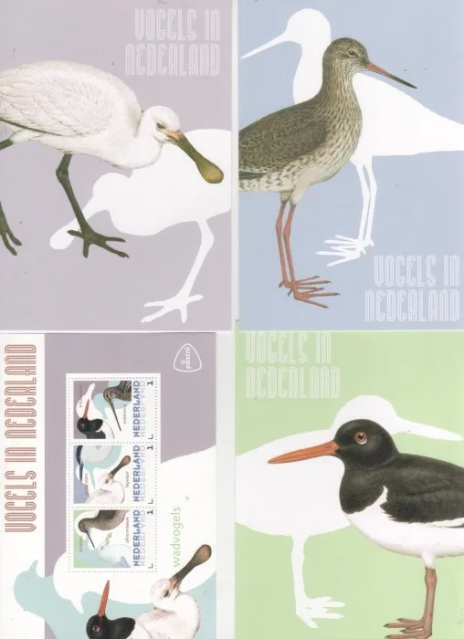 NIEDERLANDE 2014 VÖGEL 2 Wattvögel Vogel Vögel postfrisch/ungebraucht