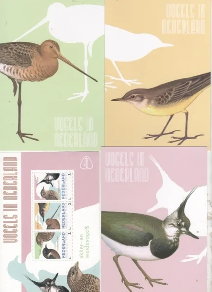 NETHERLANDS 2014 BIRDS 4 field birds SHEETLET MNH
