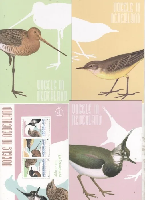 NIEDERLANDE 2014 VÖGEL 4 Feldvögel postfrisch/mnh