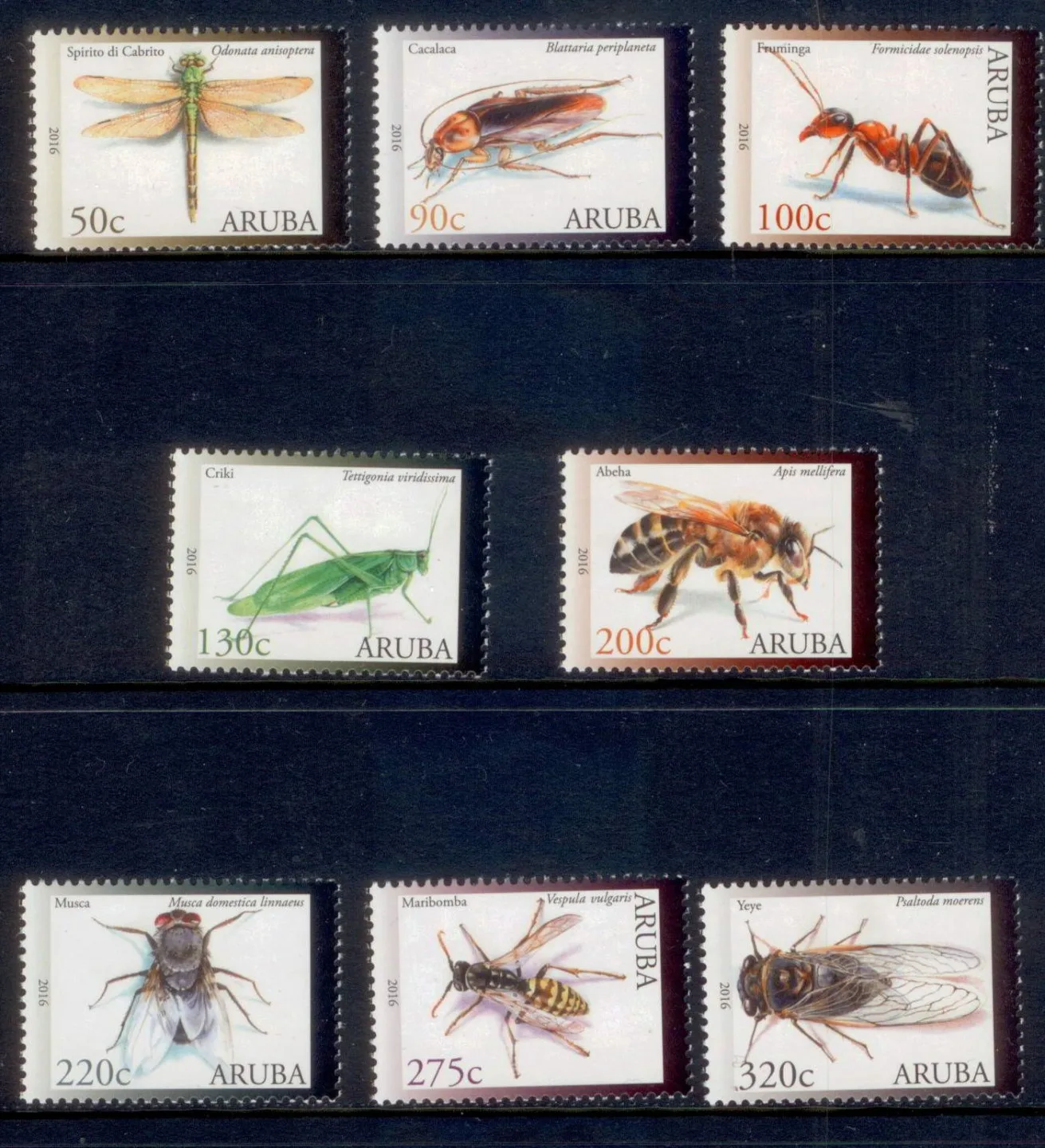 Aruba 2016 insects 898-905 MNH