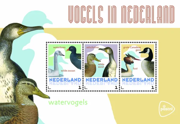 NEDERLAND 2014 VOGELS 6 Watervogels birds oisseaux VELLETJE-SHEETLET postfris/mnh