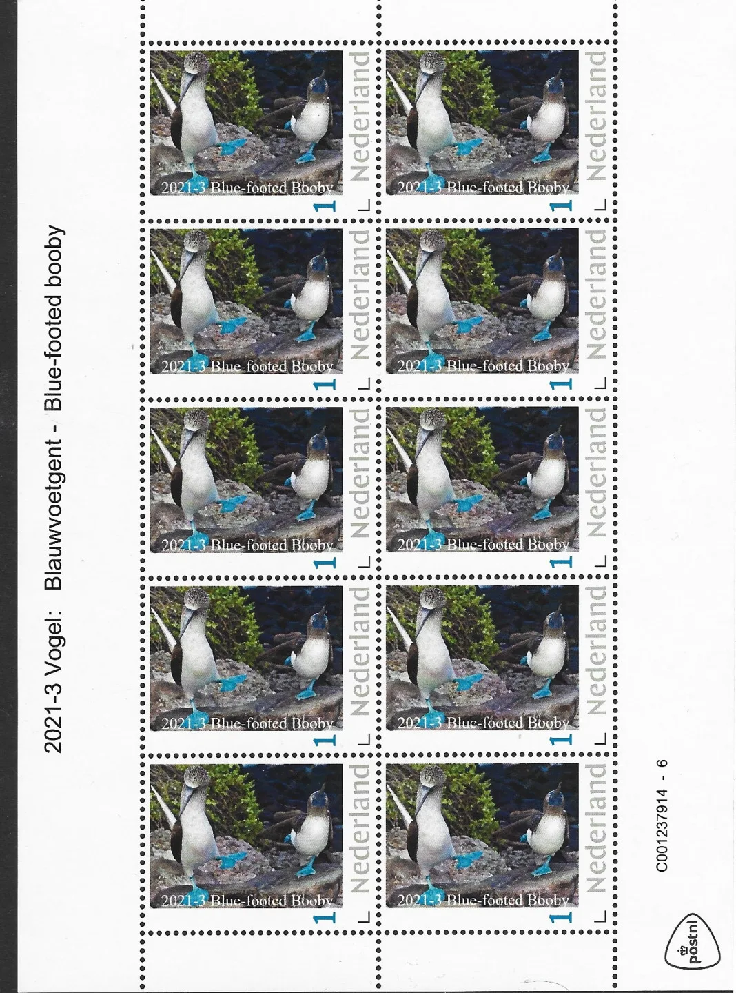 Niederlande 2021-3 Vögel Blaußfußtölpel Blockmarke postfrisch/mnh