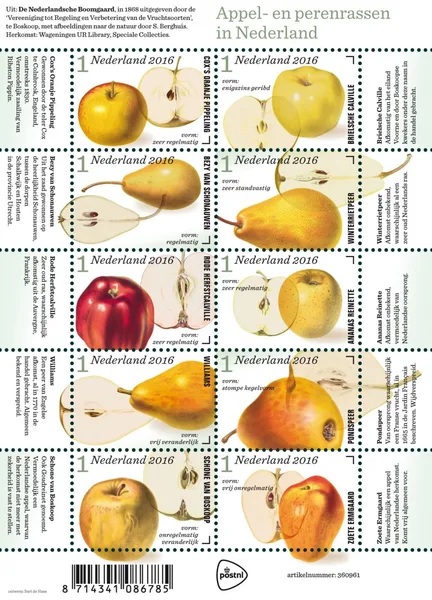 Nederland 3431-3440 Appels en Peren 2016 vel-sheetlet postfris/mnh
