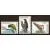 979-981 Frankeer, vogels 1998 postfris