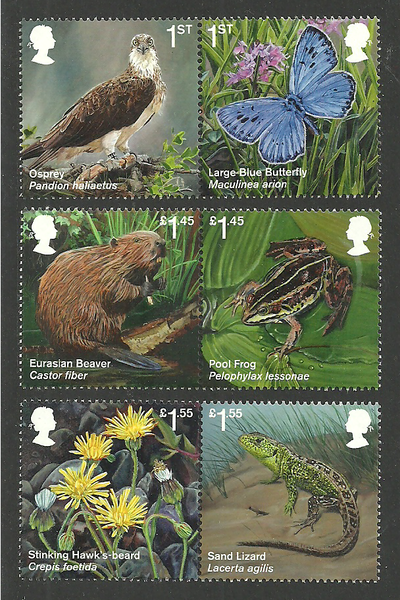 Gr. Britain 2018 Natuur reintroduced species dieren postfris/mnh