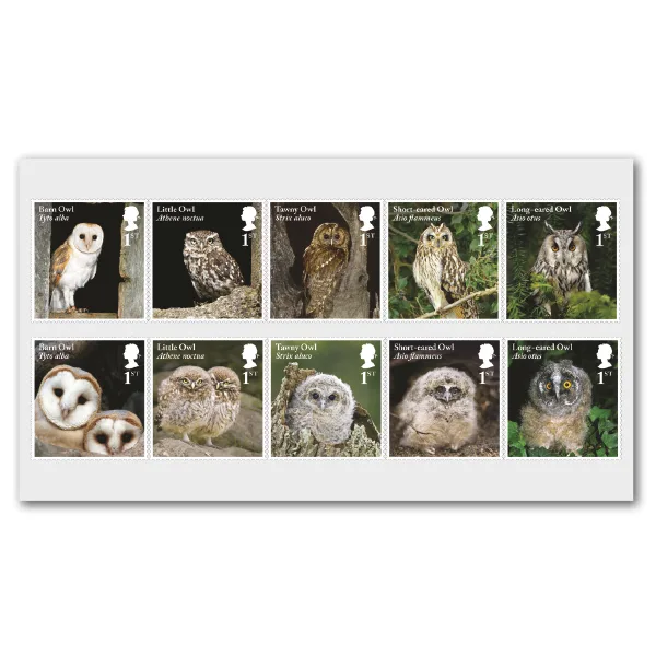 Großbritannien 2018 Eulen postfrisch/mnh