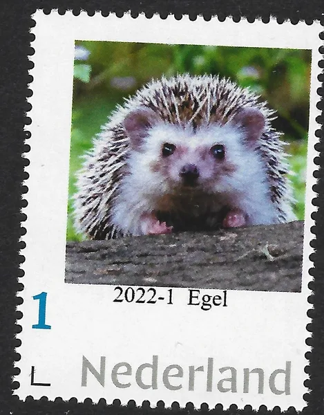 Nederland 2022-1 Egel egil hedgehoge postfris/mnh