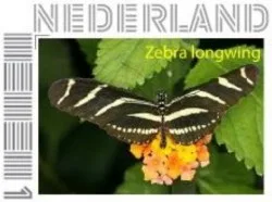 Niederlande 2014-2 Schmetterling Zebra-Passionsfalter postfrisch/mnh