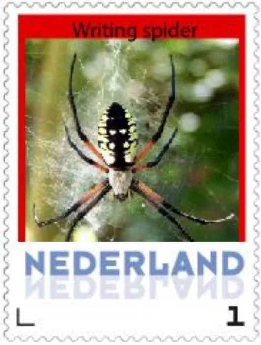 Niederlande 2014-1 Ucollect Spinnen Jagdspinne postfrisch/mnh