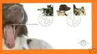 E392 Natuur en Milieu 1998 1779-1781
