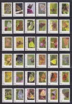 Nederland 2013 Vlinders butterflies schmetterlinge complete serie van 62 zegels postfris/mnh