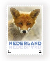 Nederland 2013 Vos Fox Fuchs postfris/mnh