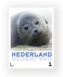 Nederland 2013 Zeehond seal seehund postfris/mnh