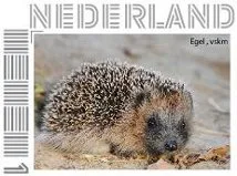 Nederland 2013 ucollect Egel Hedgehog postfris/mnbh
