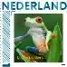 Ucollect animal life 1 Costa Rican frog stamp MNH