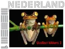 Ucollect animal life 3 Chachi tree frog/kikker zegel postfris/mnh