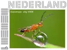 2011 Ichneumon Wasp stamp MNH series VKSM