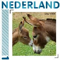 Esel 2011 Briefmarke postfrisch