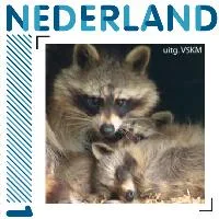 Raccoon 2011 stamp MNH