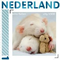 Netherlands 2011 White rat + teddy bear stamp MNH