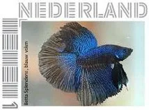 Netherlands 2012 Ucollect fish MNH