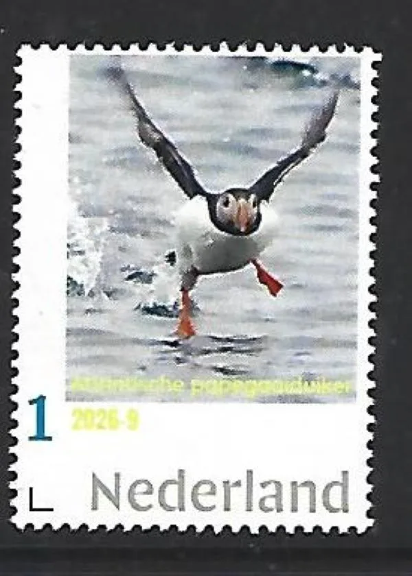 Nederland 2026-9 Papegaaiduiker Puffin: Atlantic puffin Alderney postfris/mnh