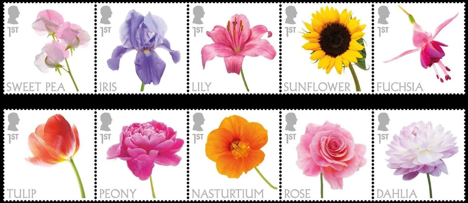 Großbritannien 2023 Blüten - Flowers postfrisch/mnh