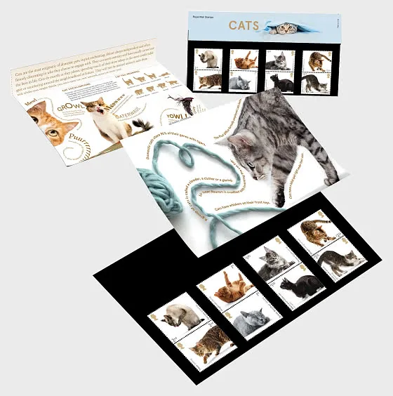 Great Britain 2022 Katten Cats presentation pack postfris/mnh