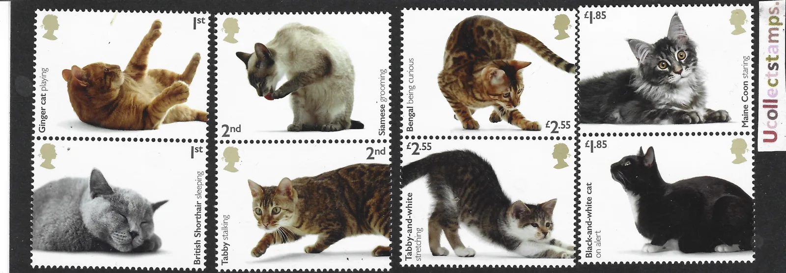 Großbritannien 2022 Katzen postfrisch/mnh
