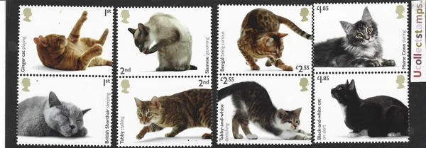 Great Britain 2022 Katten Cats postfris/mnh