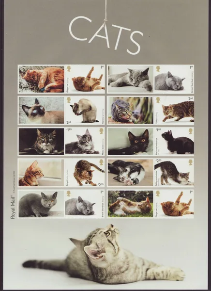 Great Britain 2022 Katten Cats collectorsheet postfris/mnh