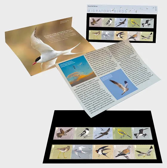 Great Britain 2022 Vogels Migratory birds presentation pack postfris/mnh