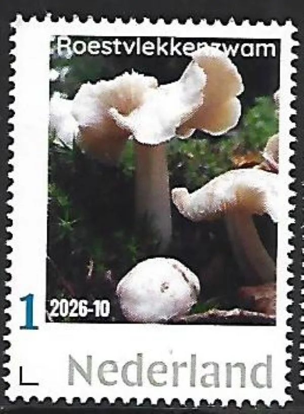 Nederland 2026-10 Paddenstoel Mushroom:  Roestvlekkenzwam  postfris/mnh
