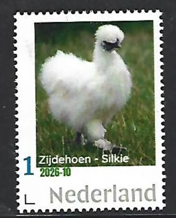 Niederlande 2026-10   Huhn Chicken: Seidenhuhn Silkie    postfrisch